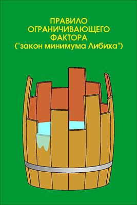 Слайд-альбом "Экология" (100 слайдов + методичка)