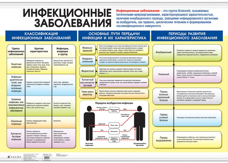 Плакат "Личная гигиена/ Инфекционные заболевания (2-х сторонний) 100х140см лам