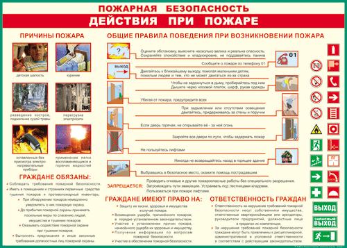 Таблица "Пожарная безопасность: действия при пожаре" (47х62см, винил)