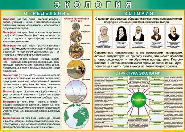 Таблица "Экология: определения и история" (100х70см, винил)