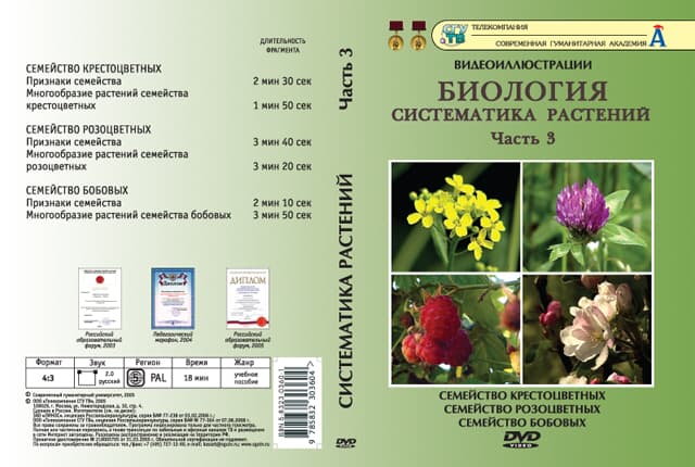 Биология. Систематика растений. ч.3 (DVD, 6 фрагментов, 18 мин.)