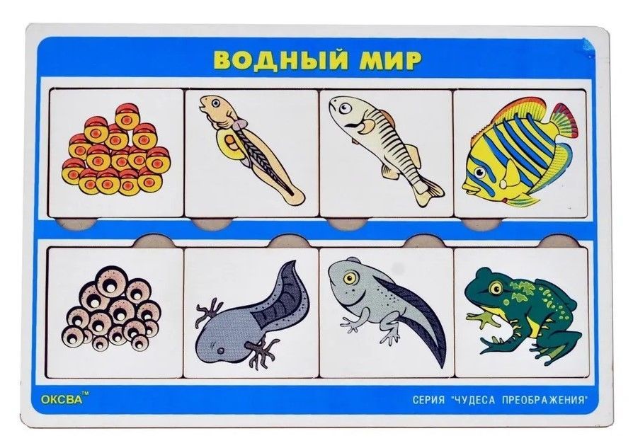 Развивающая игра "Водный мир" серии "Чудеса преображения"