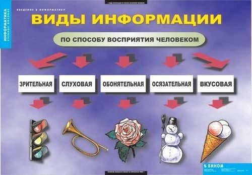 Комплект таблиц "Введение в информатику" (12 шт., 68х98см)
