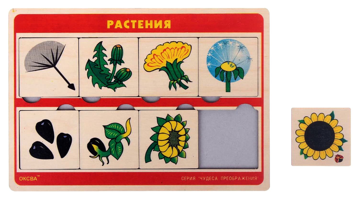 Развивающая игра "Растения" серия "Чудеса преображения"