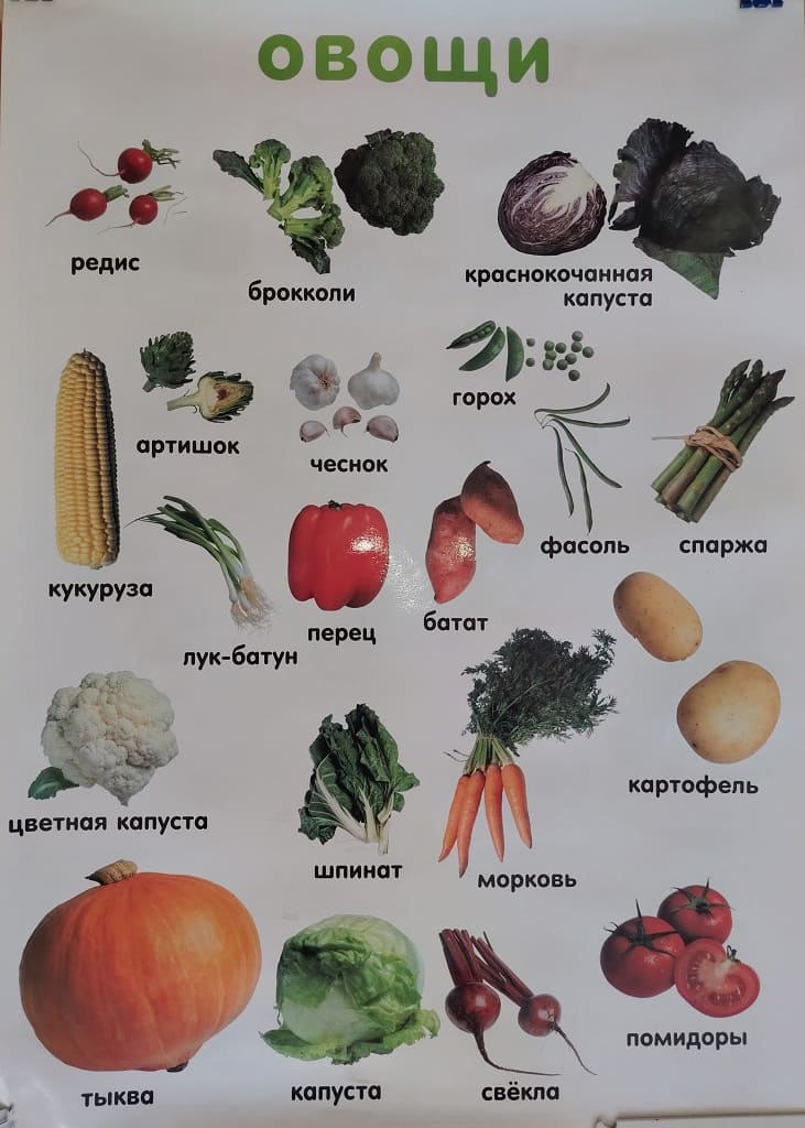 Плакат двухсторонний "Фрукты / Овощи" (48х68см, лам.)