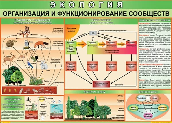 Комплект таблиц "Экология" (9 шт., 70х100см, винил)