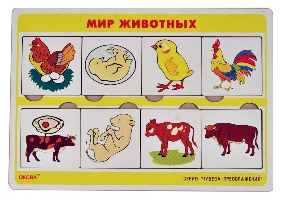 Развивающая игра "Мир животных" серия "Чудеса преображения"