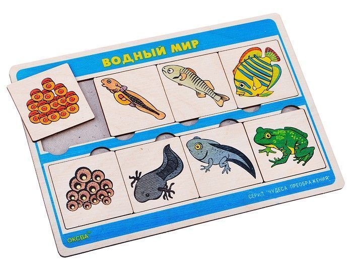 Развивающая игра "Водный мир" серии "Чудеса преображения"