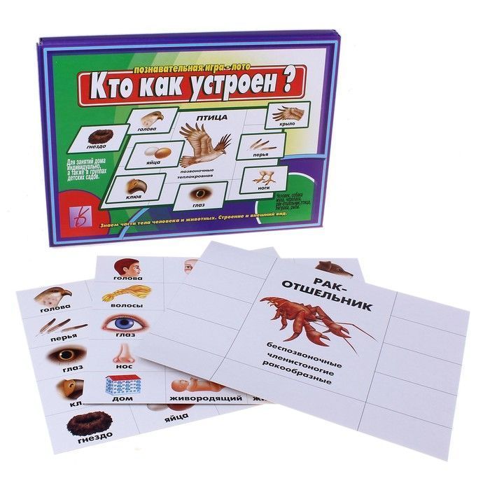 Настольная игра "Кто как устроен" 