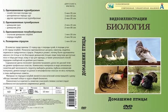 Биология. Домашние птицы (DVD, 8 фрагментов, 22 мин.)