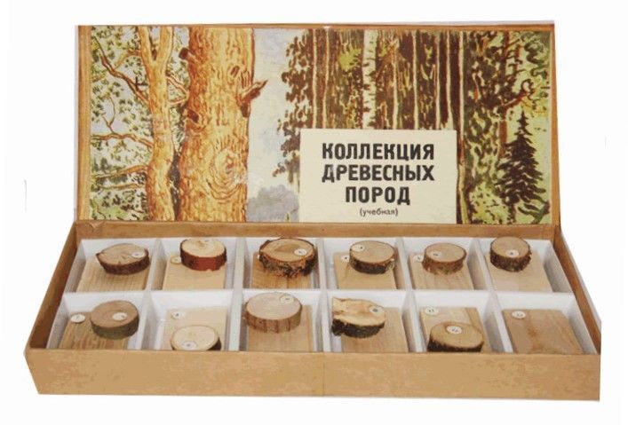 Коллекция "Древесные породы"