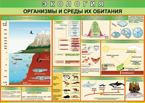 Комплект таблиц "Экология" (9 шт., 70х100см, винил)