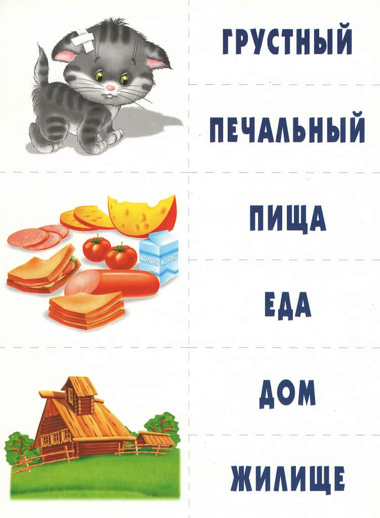 Игра-лото на синонимы "Скажи по-другому"