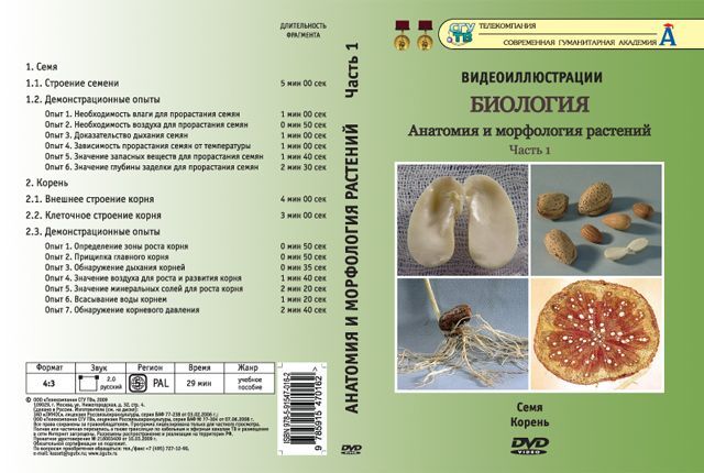Биология. Анатомия и морфология растений. ч.1 (DVD, 16 фрагментов, 29 мин.)
