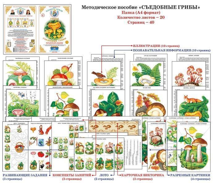 Дидактический материал "Съедобные грибы"