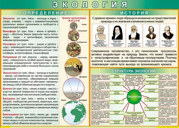 Таблица "Экология: определения и история" (100х70см, винил)