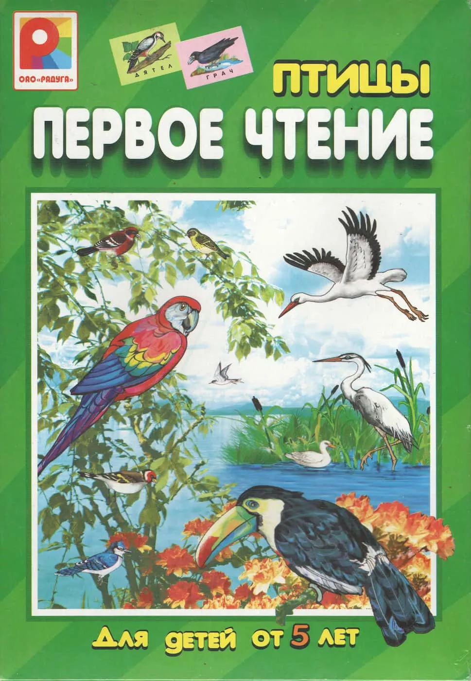 Настольная игра "Первое чтение. Птицы" 